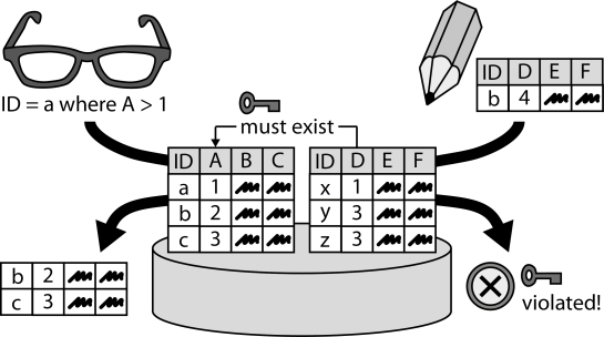 Relational Database